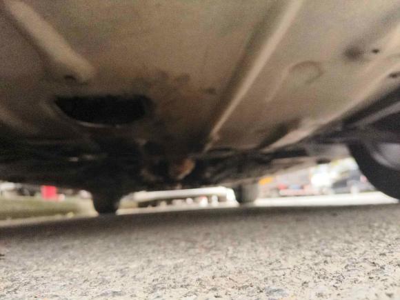 [苏州·苏E] 二手宝马宝马X12016款 sDrive20Li 豪华型