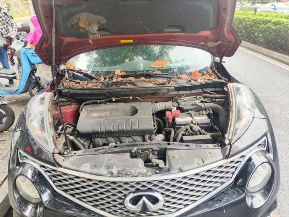 [苏州·苏E] 二手英菲尼迪英菲尼迪ESQ2014款 1.6L 率性版