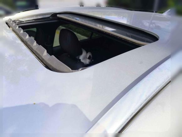 [武汉·浙B] 二手马自达马自达CX-42021款 2.0L 自动两驱蓝天领先版