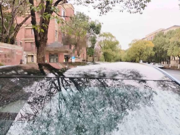 [杭州·浙A] 二手比亚迪海豹2022款 700km 长续航后驱版