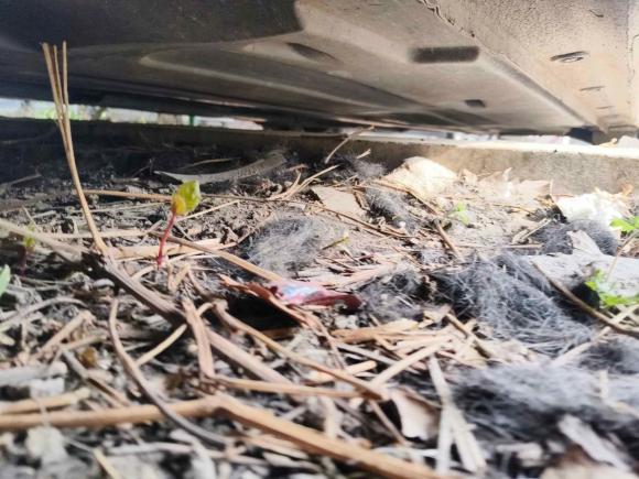 [上海·湘H] 二手现代名图2016款 1.8L 自动尊贵型DLX