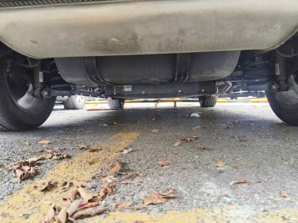 [上海·浙F] 二手比亚迪秦PLUS2024款 荣耀版 DM-i 120KM卓越型