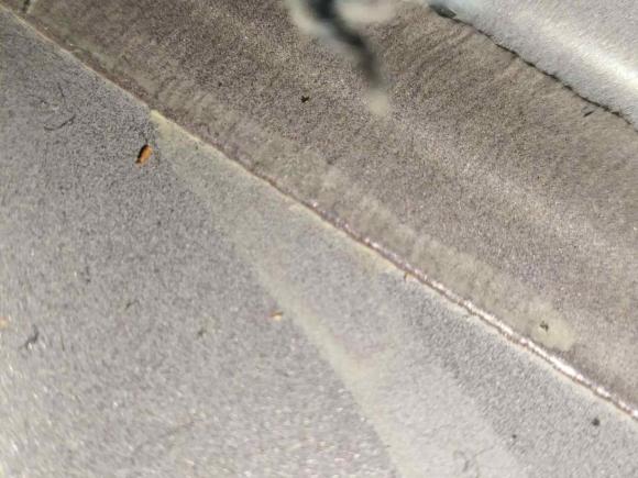 [武汉·鄂A] 二手别克昂科威Plus2018款 20T 两驱豪华型