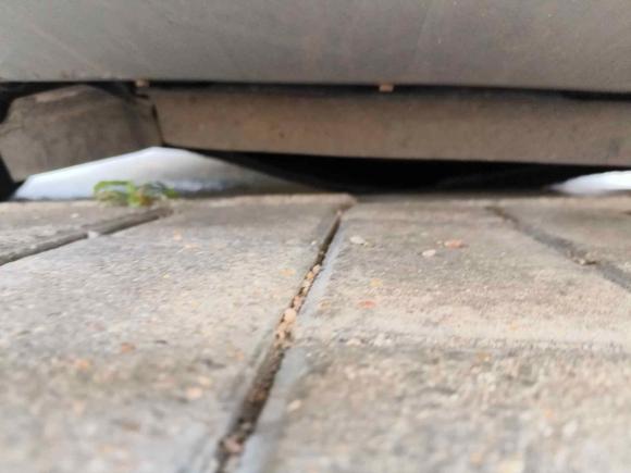 [青岛·鲁U] 二手福特翼虎2013款 2.0L GTDi 四驱尊贵型