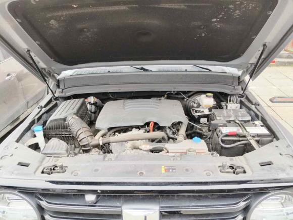 [成都·川A] 二手坦克坦克3002021款 越野版 2.0T 征服者