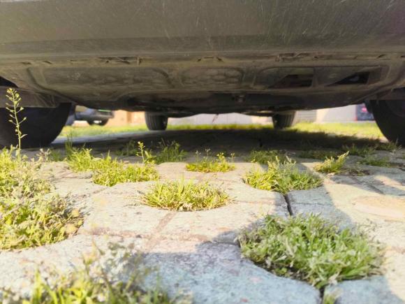 [嘉兴·浙F] 二手大众速腾2018款 280TSI DSG舒适型