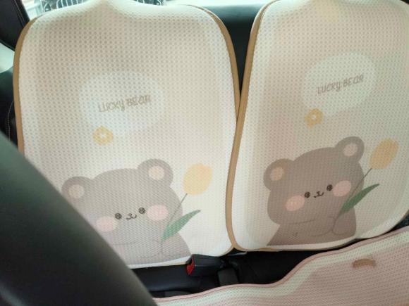 [合肥·皖A] 二手荣威科莱威CLEVER2022款 311km元气啵啵版