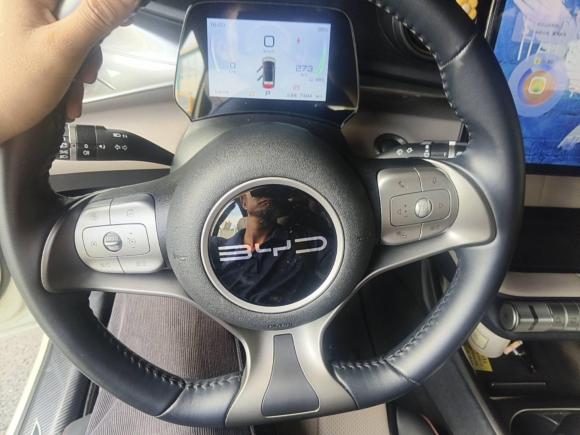 [深圳·粤B] 二手比亚迪海豚2023款 420km 自由版