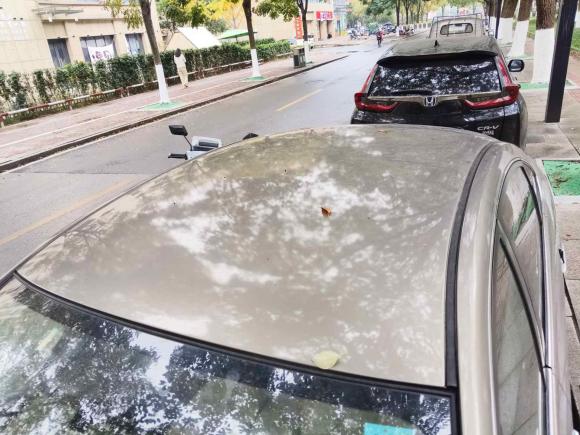 [湖州·浙E] 二手日产轩逸2009款 1.6XE 自动舒适版