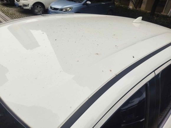 [合肥·皖A] 二手本田缤智2015款 1.8L CVT两驱精英型