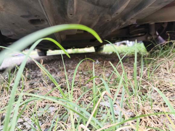 [佛山·粤E] 二手丰田雷凌2017款 改款 185T CVT精英版 国V