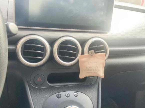 [温州·浙C] 二手欧拉欧拉黑猫2021款 301km 基础型