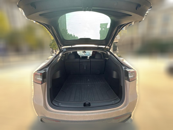 [温州·浙C] 二手特斯拉Model Y2022款 后轮驱动版