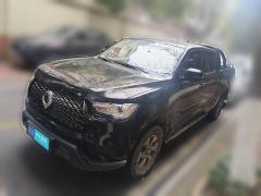 [合肥·皖A] 长城炮2021款 2.0T商用版手动柴油四驱精英型长箱GW4D20M