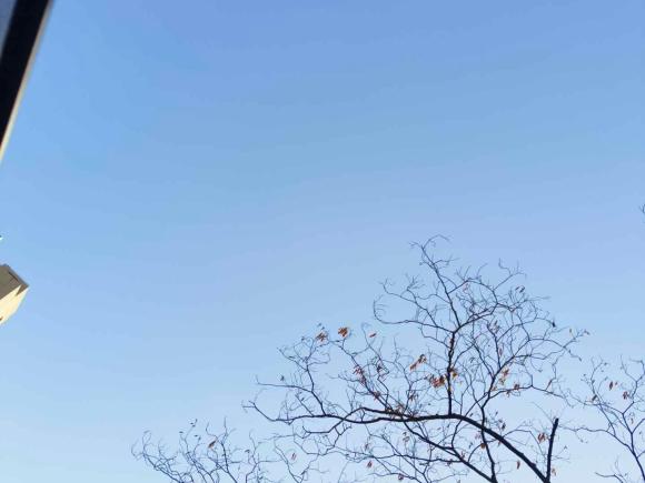 [上海·苏B] 二手哈弗哈弗H62021款 第三代 1.5T 自动两驱Pro