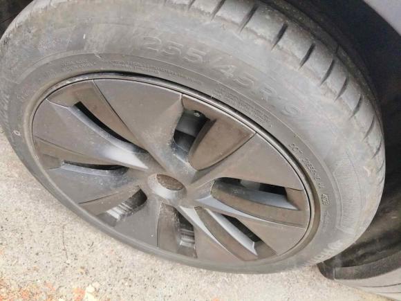 [青岛·鲁B] 二手特斯拉Model Y2023款 长续航全轮驱动版