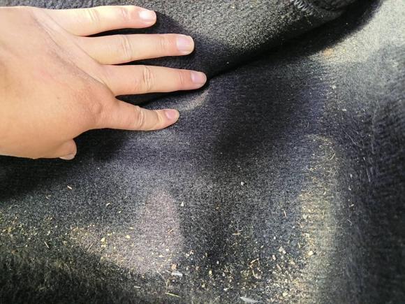 [无锡·苏B] 二手丰田威驰2014款 1.5L 自动智臻版