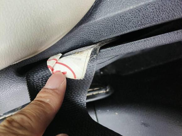 [嘉兴·浙F] 二手比亚迪秦PLUS2021款 EV 500KM 豪华型