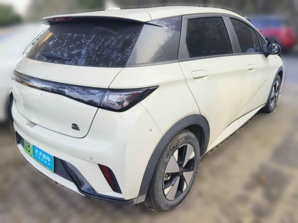 [广州·粤B] 二手比亚迪海豚2023款 420km 自由版