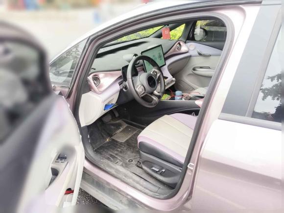 [成都·川A] 二手比亚迪海豚2021款 401km 骑士版