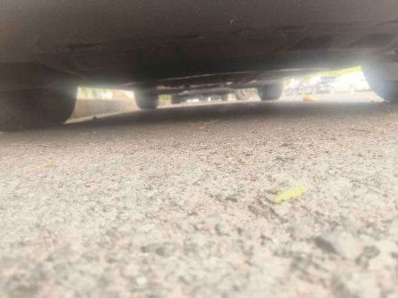 [上海·苏U] 二手大众高尔夫2021款 280TSI DSG 30周年纪念版