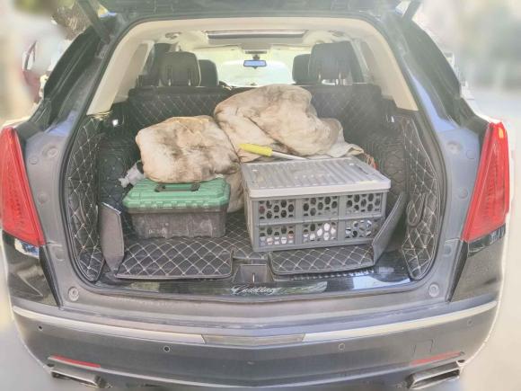 [合肥·皖A] 二手凯迪拉克凯迪拉克XT52018款 25T 豪华型