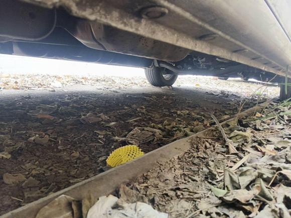 [南京·苏A] 二手江淮瑞风瑞风M42021款 2.0L 手动商旅版