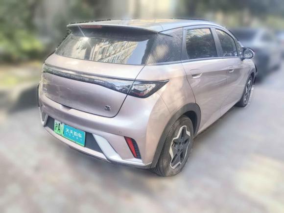 [上海·沪A] 二手比亚迪海豚2021款 405km 时尚版