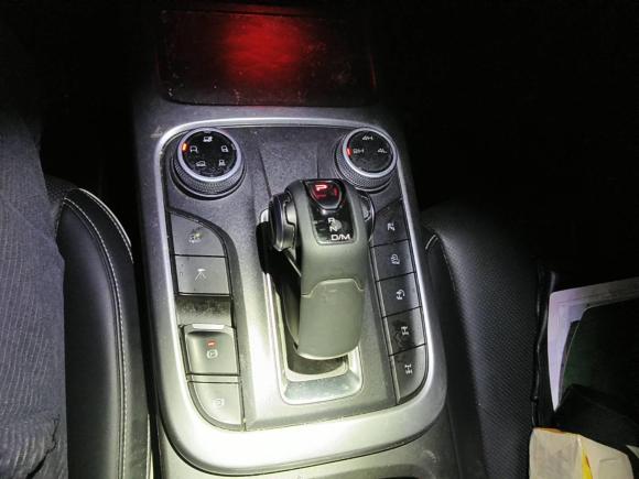 [上海·苏G] 二手坦克坦克3002021款 越野版 2.0T 征服者