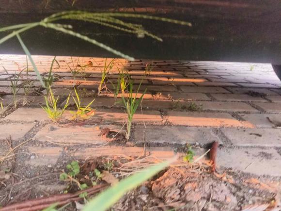 [南京·苏A] 二手宝骏宝骏云朵2023款 460 Max