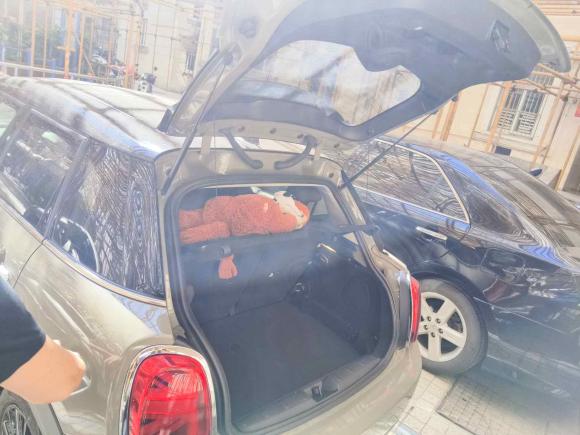 [上海·沪A] 二手MINIMINI2018款 1.5T COOPER 经典派 五门版