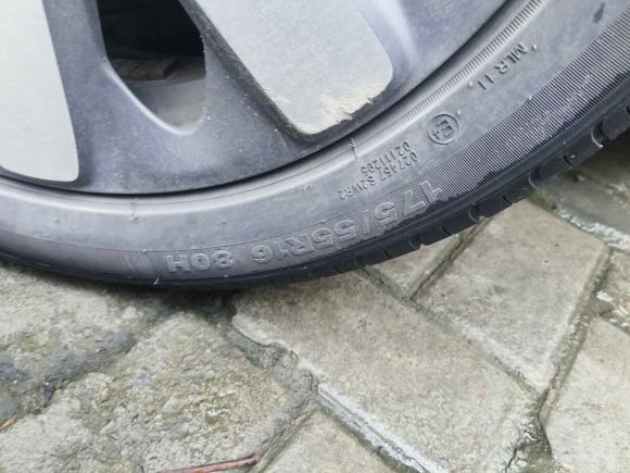 [上海·沪A] 二手欧拉欧拉黑猫2019款 351km 亲子版