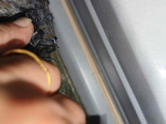 [武汉·鄂A] 二手丰田雷凌2019款 双擎 1.8H E-CVT豪华版 国VI