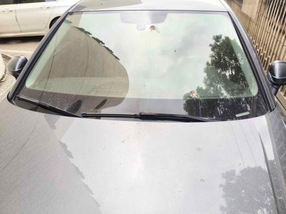 [上海·沪F] 二手奥迪奥迪A4L2020款 40 TFSI 时尚动感型