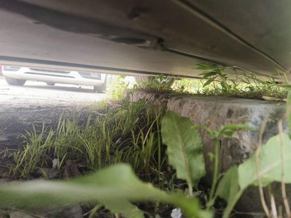 [温州·浙C] 二手特斯拉Model Y2021款 标准续航后驱版