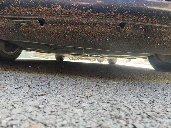 [深圳·粤B] 二手马自达阿特兹2017款 2.5L 蓝天运动版