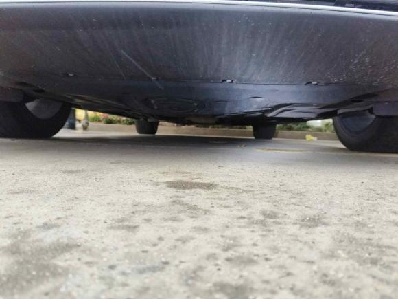 [上海·沪A] 二手比亚迪汉2020款 DM 四驱性能版尊贵型