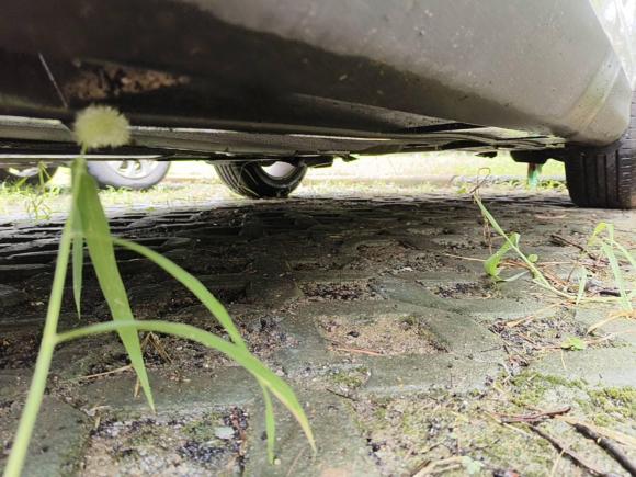 [无锡·苏B] 二手福特福克斯2012款 三厢 1.6L 手动风尚型