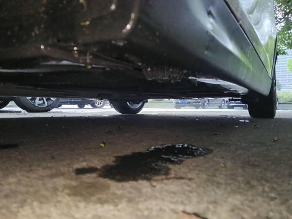 [杭州·浙A] 二手MINIMINI2014款 2.0T COOPER S Excitement