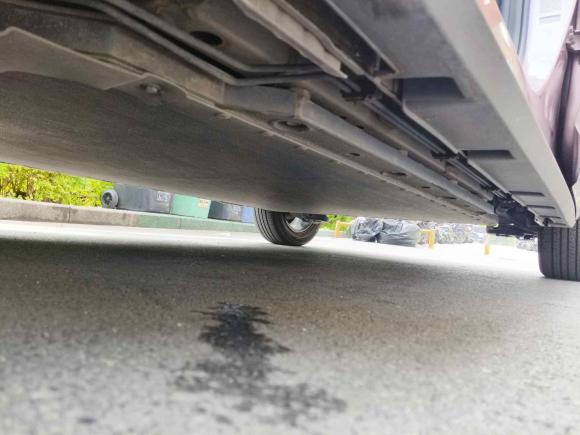 [广州·粤A] 二手比亚迪海豚2023款 420km 时尚版