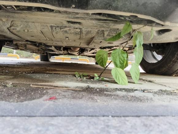 [南昌·赣A] 二手魏牌魏牌 VV72017款 2.0T 超豪型