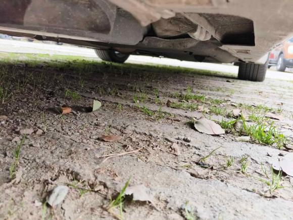 [温州·浙C] 二手本田雅阁2018款 锐·混动 2.0L 锐领版 国VI