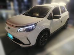 [嘉兴·浙F] 吉利几何EX3 功夫牛2021款 坚强牛牛
