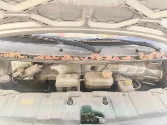 [宁波·浙B] 二手五菱汽车五菱荣光新卡2019款 1.8L双排国VI LJ479Q6