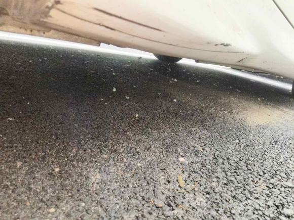 [杭州·浙A] 二手福特福克斯2015款 两厢 EcoBoost 180 自动精英型