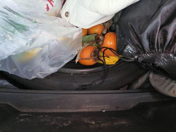 [杭州·苏E] 二手大众T-ROC探歌2020款 230TSI DSG两驱时尚型