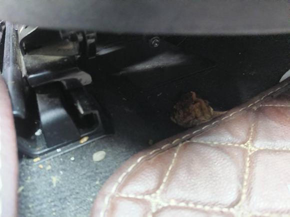 [湖州·浙E] 二手奥迪奥迪A4L2016款 35 TFSI 典藏版 S line舒适型