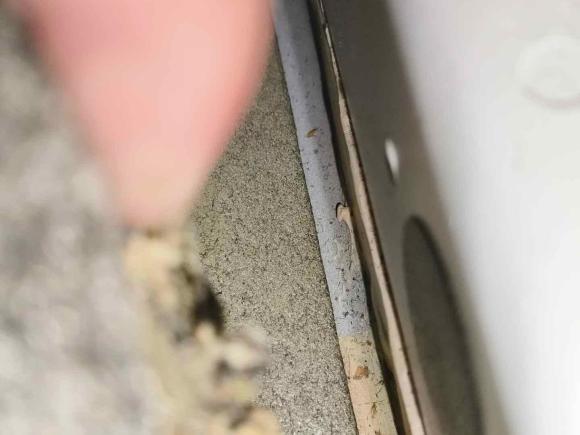 [深圳·粤B] 二手英菲尼迪英菲尼迪Q50L2015款 2.0T 悦享版