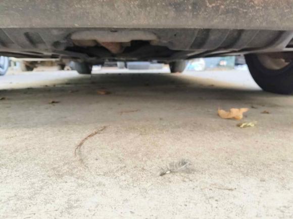 [青岛·鲁U] 二手本田奥德赛2019款 2.0L 锐·智享版