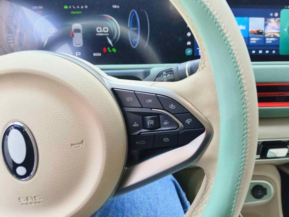 [杭州·浙A] 二手欧拉欧拉好猫2023款 501km长续航 尊贵型 磷酸铁锂